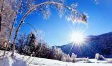 亲情味美内涵句子