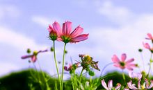 收到祝福开心的句子