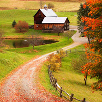 11.当您在黑暗中时，您会想念自己的眼泪，因为担心自己会有更多的眼泪。