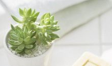 突然让人很开心的句子