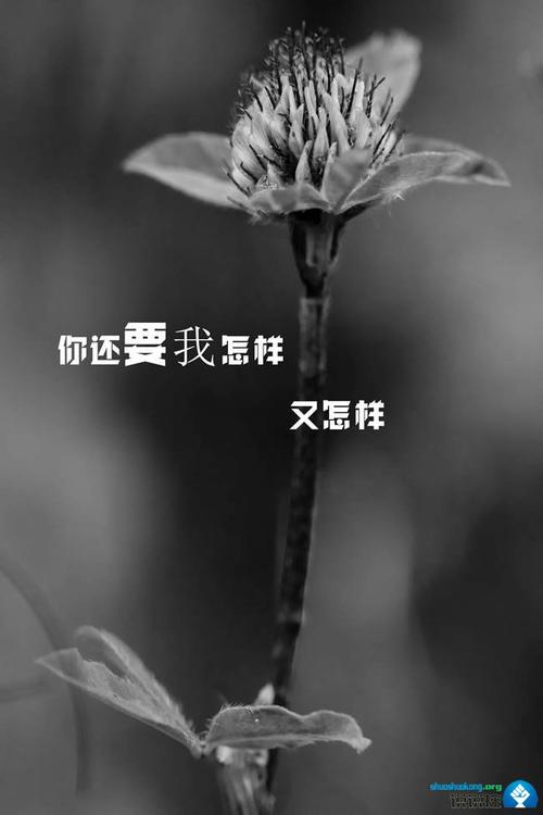 关于遗忘的句子