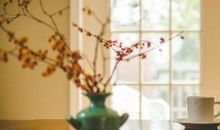 相劝朋友开心的句子