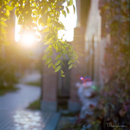 12. Shu子向右嬉戏地飞翔，而她即将摔倒在地。在这个关键时刻，健健巧妙地弯腰，将她的腿向右伸展。 ttle球就像被磁铁吸引一样，她要求她控制住。