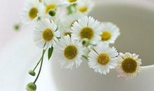 适合做亲情类题记的句子