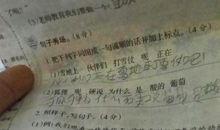 描写爷爷外貌的句子