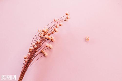 11.亲情是航行中的港口。当我们一次又一次地撞击岩石时，我们会慢慢驶入。没有强风和波浪。我们可以在这里呆一会儿，修复伤口，准备供应，然后再次起航。