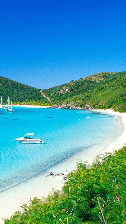 12.动力，它自然地反映在普通生活中，被人们感动和珍惜。