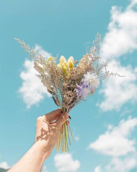 10.感恩是一种回报。我们从母亲的子宫中走了出来，然后母亲用牛奶抚养着我们。更重要的是，母亲从不希望她得到任何东西。就像太阳每天都会给我们她的温暖，从不要求回报，但我们必须理解“感恩”。