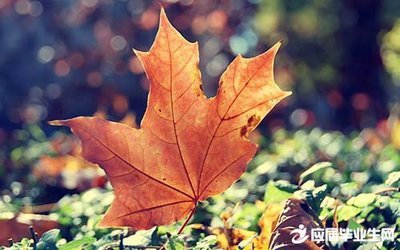 12.感恩时，您会感到有些抱怨毫无意义，一些麻烦不应该，一些困难可以克服，有些困难是暂时的。您感谢上帝赐给您的食物，并感谢社会为这个美丽的社会。 ，然后感谢党的无限仁慈。感恩并尊重孝顺，回报社会，让党的风度成为扎根的树和水的源头。