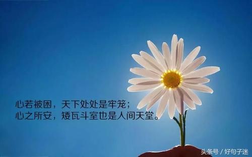 11.在情感世界中，没有人没有人可以做，只有一个人不珍惜另一个人。