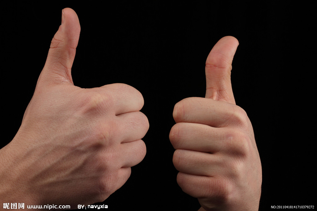 解释性句子摘录