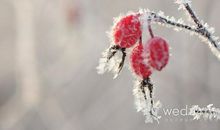 离婚让你后悔的句子