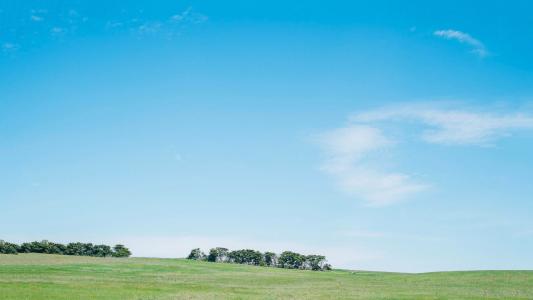 10.在他的心中,他轻快如放开沉重的负担。