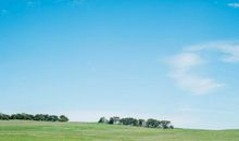 体现突然开心的句子