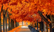 珍惜当下的亲情的句子