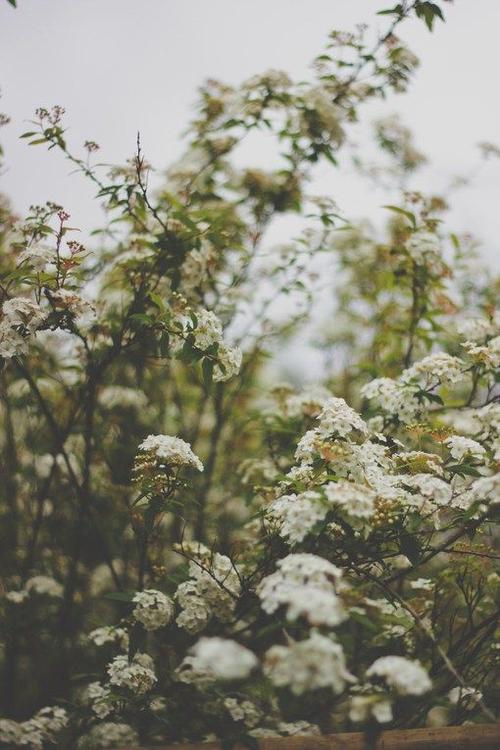 12.亲情是父亲在寒冷时穿上的外套