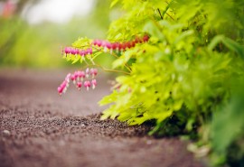 11.在最无助的十字路口，家庭关爱是指导我们成功实现目标的最明确的路标。