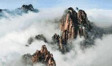 为了以后不后悔的句子