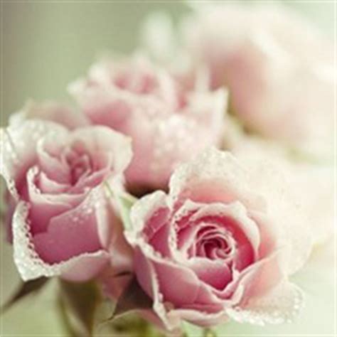 10.在最寂寞的情感道路上，亲情是最真诚的陪伴，使我们感到无与伦比的温暖和舒适；