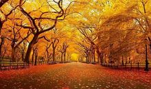 押韵的亲情古风句子