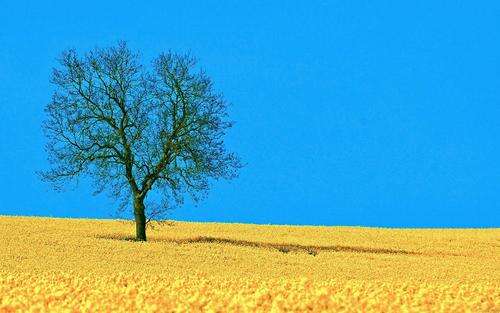 10.家庭感情是雨水，它消除了烦躁情绪，使光线凉爽。亲情就是风，它吹走了悲伤，留下了幸福；家庭之爱是阳光，它带走了黑暗而留下了光。