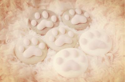 11.兄弟情谊：兄弟情谊：兄弟的比喻。隐喻兄弟的感受。