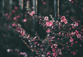 11.热情是毫不犹豫的回应；温暖是一丝不苟的合作。