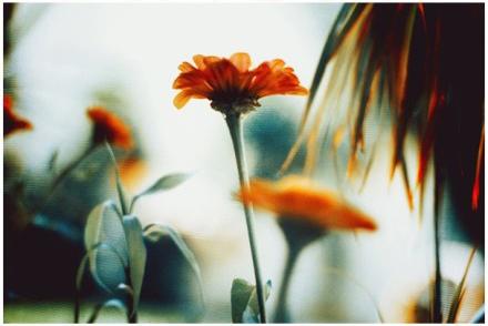 12.在这个世界上，没有人比我们父母更爱我们。