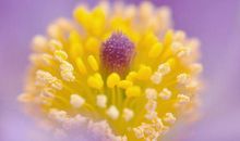 时光在变亲情唯不变的句子