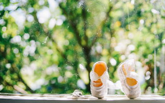 11.家庭之爱是一碗心灵的鸡汤，照顾受伤的心灵；