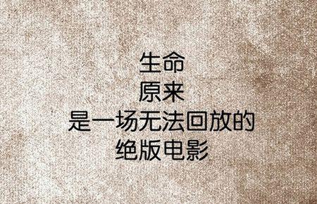 12.不要说王子对灰姑娘有多爱，而仅仅一晚之后，她依靠水晶鞋就忘记了她的模样。