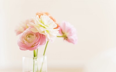 10.幸运的是，大多数最终不满意的妇女也可以自力更生和自给自足。幸运的是，大多数伤心欲绝的妇女都将其亲戚作为情感上的支持。