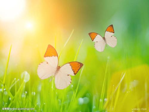 12.感觉是妈妈每次给我缝针的毛衣：感觉是父亲每天早晨为我准备的早餐；关系是...