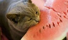 和好友一起去玩开心的句子