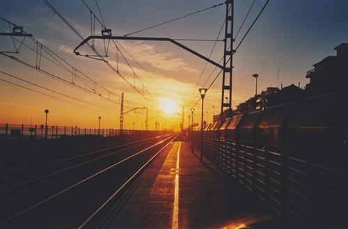 11.家庭生活中最重要的事情是接受建议,变得不可接受,不打算成为建议。