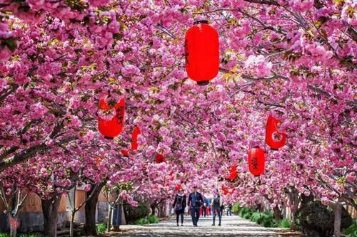 11.当我偶尔对生活感到失望和对自己过于关心时,我也会感到沮丧,并会悄悄向上帝抱怨几句话,但是当我想到已经拥有的一切时,我会立即纠正自己的情绪并停止抱怨。 , 快乐地生活。不仅如此,我还喜欢将幸福视为一种传染病,并感染我每天接触的社会和人们。