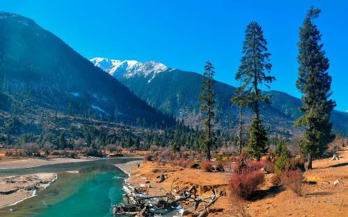 11.当你穿上爱的婚纱时，我也穿上和尚的长袍