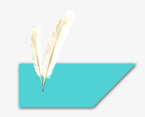 10.深秋的旷野散发出令人头晕的气味,似乎被流过它的涡流所淹没。