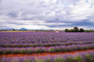 10.只有当您的孩子被拥抱时，您才会知道父母的支持。 - 老挝