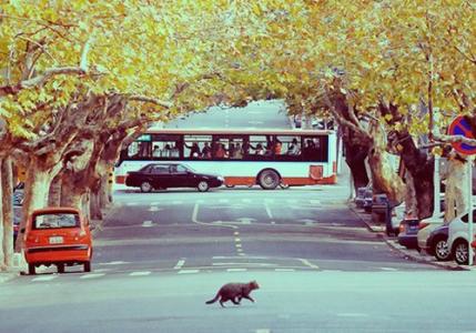 10.那颗心太高兴了，无法充满蜂蜜般的喜悦。