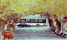 表现人开心的句子