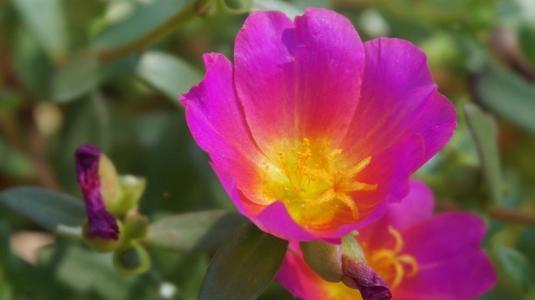 12.如果您对当前拥有的一切不满意，那么拥有更多的东西将不会感到高兴。如果你想快乐，别让自己懒散。