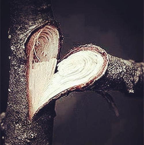 10.也许爱一个人的自私是可以原谅的。