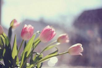 11.当我在家时，我是他们的开心果，但是当我到达这里时，他们竟然是我的开心果