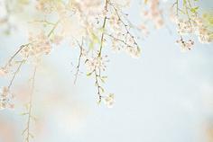 10.总是这样。当我一个人，当我快乐时，我会想到他们，让他们分享我的幸福。