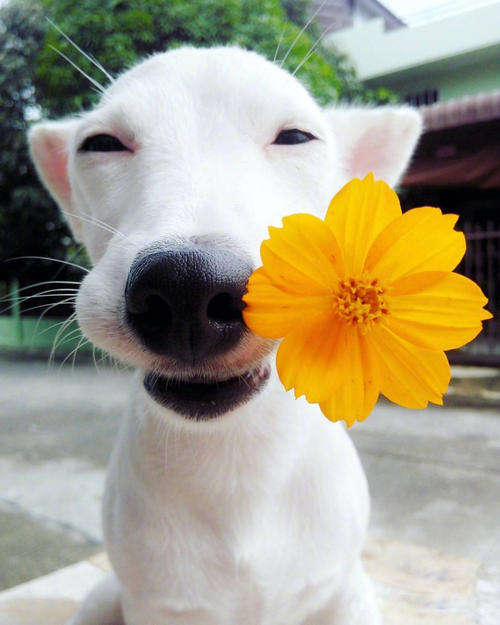 10. 2018年7月17日。这一天我永远不会忘记,尽管结果仍然令人困惑。但是在这两天的风风雨雨中,我真的想出了很多。看到亲戚和朋友的奔跑和担忧。我了解,无论我要勇敢承担什么样的结果。我注定不会为自己而活。您是我的安慰和责任,理性地对待现实,每天快乐地生活,看到我的女儿结婚,生孩子,叫我祖母。陪您的父母环游世界。邱歌成了夫妻。