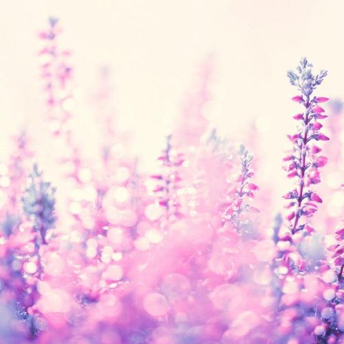 11.人是简单而最好的。不要谈论金钱。谈论金钱。不要做一个好人。一个好人被欺骗。不管脸有多热，都会变得冷屁股，世界变得冷酷，人们的内心冷漠。