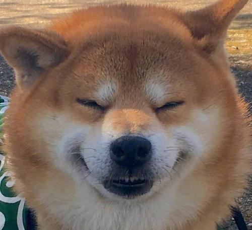 11.快乐也意味着不快乐,或者每天快乐地生活!放开你自己