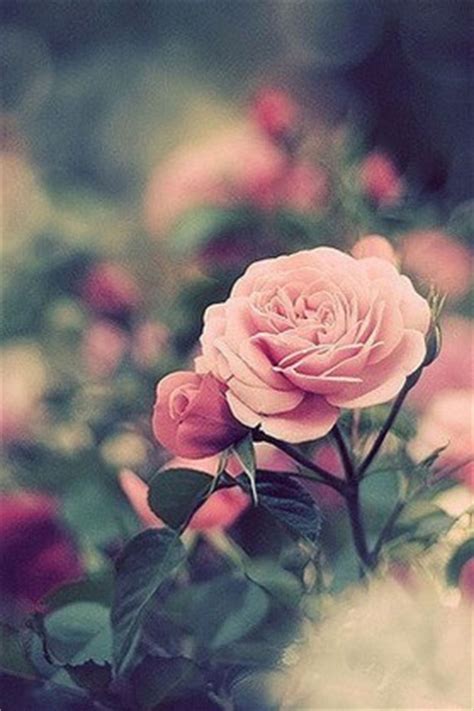 11.第一次面对死亡是爷爷的去世。他第二次面对死亡，是他的表弟年轻而死，第三次面对他的年轻表弟。那时我还很年轻，亲戚的离开只给了我短暂的悲伤和悲伤。有多少生命在等着我，我不会长时间沉迷于痛苦之中。