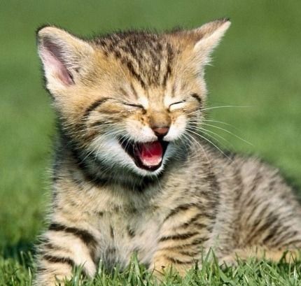 12.早读:生活短暂,每天快乐地生活